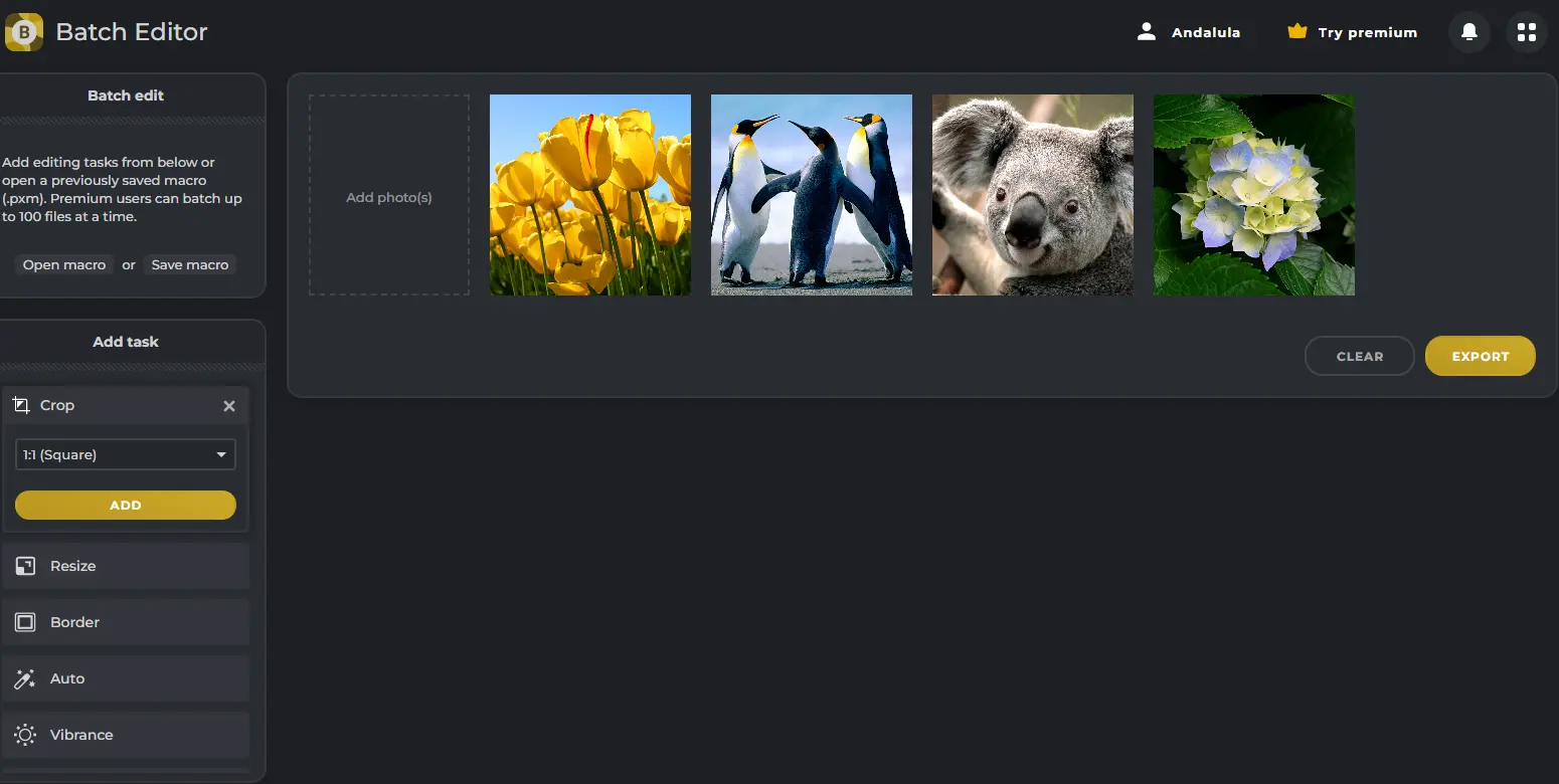 Pixlr Batch Editor - Features the batch editor in Pixlr, allowing users to apply edits to multiple images simultaneously.