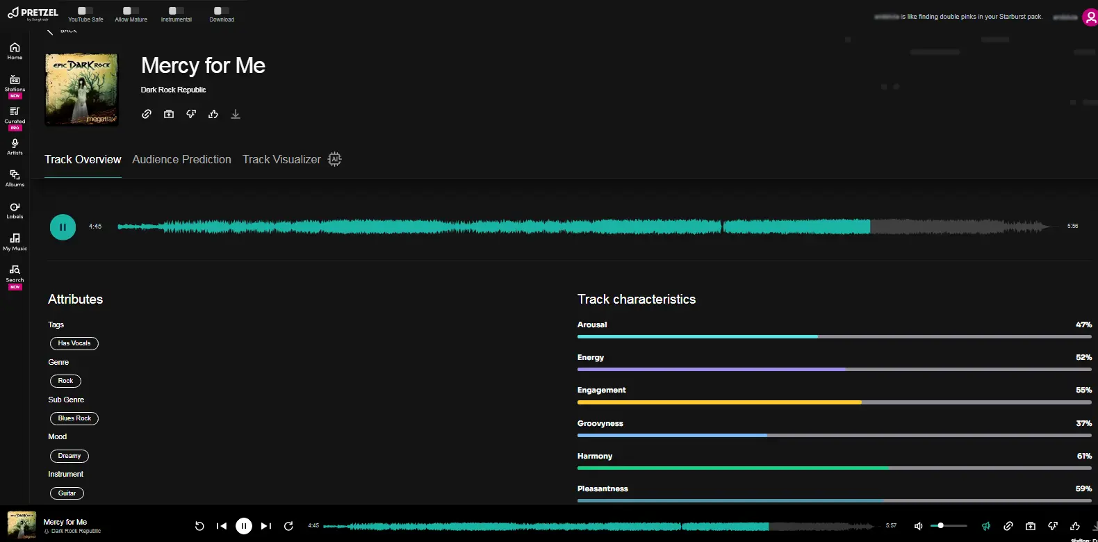 Pretzel Rocks Track Attributes - Displays the track attributes section in Pretzel Rocks, providing detailed information about each song.