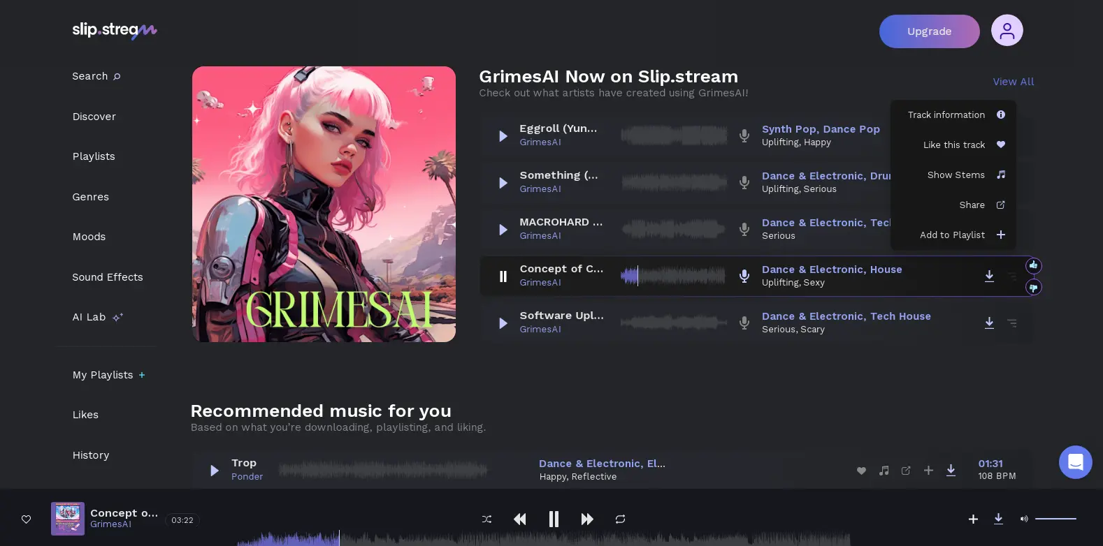 Slip Stream - Shows the main interface of Slip Stream, a music streaming service focusing on genre-specific playlists.